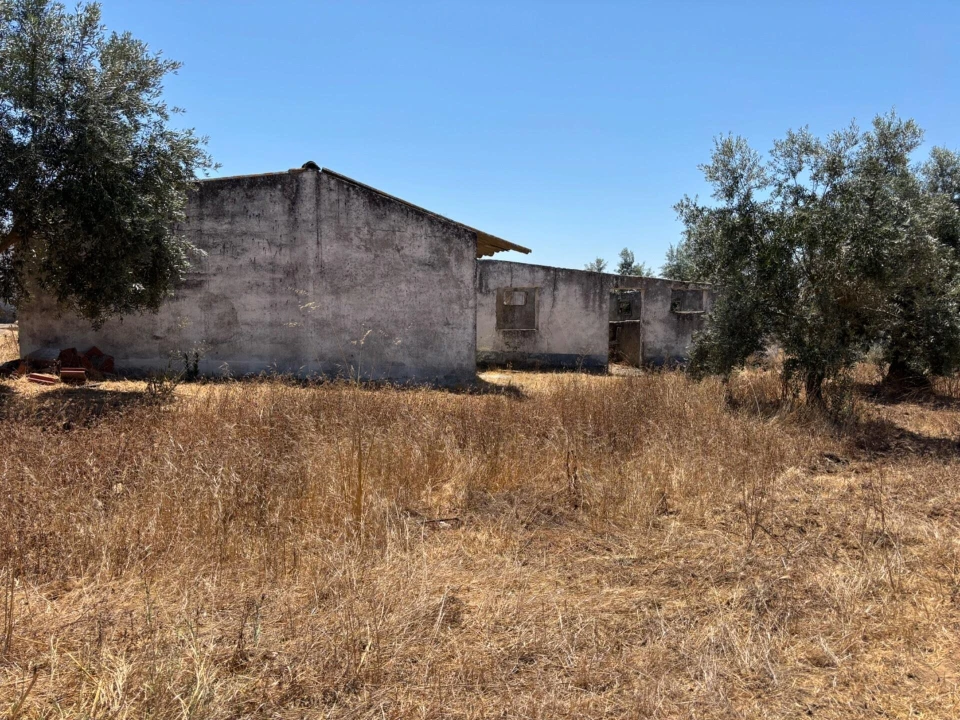 Terreno para Venda em Ermidas-Sado Foto 13