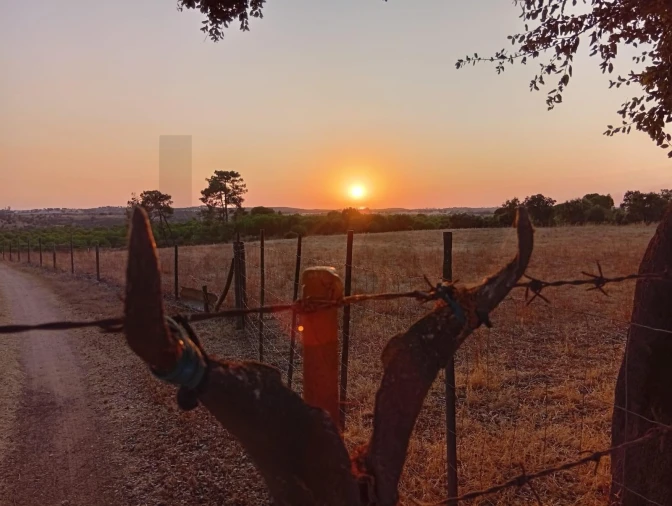 Terreno para Venda em Ermidas-Sado Foto 20