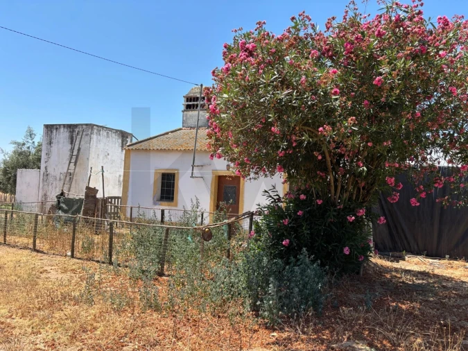 Terreno para Venda em Ermidas-Sado Foto 12