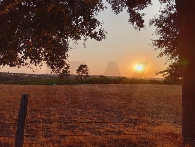 Terreno para Venda em Ermidas-Sado Foto 18