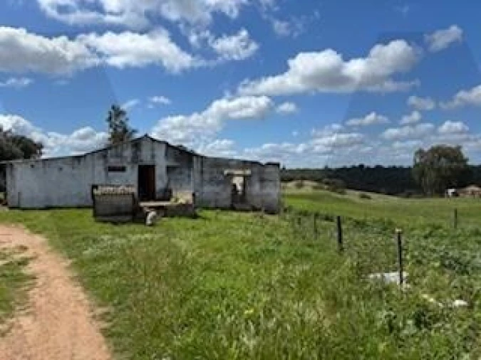 Terreno para Venda em Ermidas-Sado Foto 3