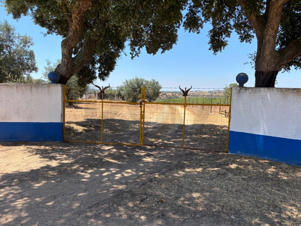 Terreno para Venda em Ermidas-Sado Foto 15
