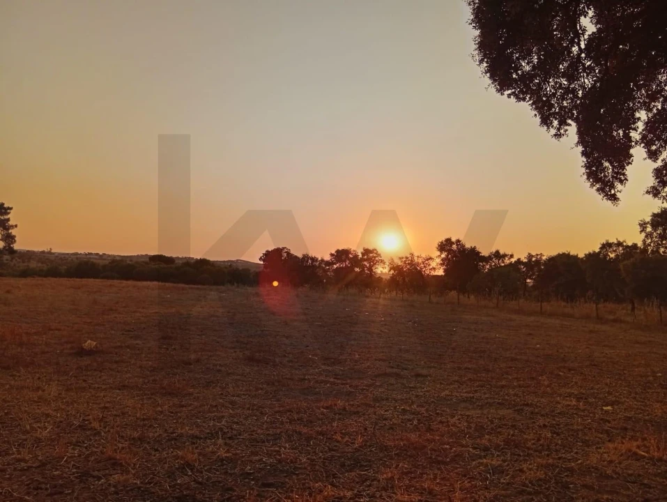 Terreno para Venda em Ermidas-Sado Foto 19
