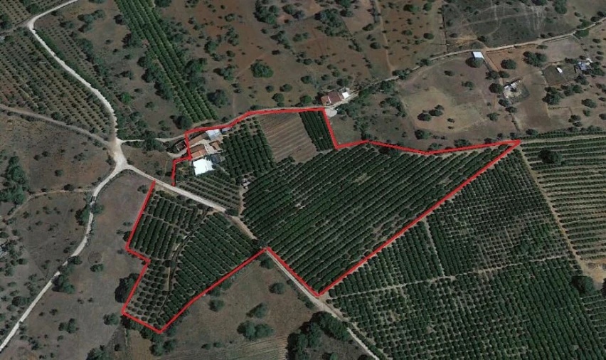 Moradia T2 para Venda em Silves Foto 31