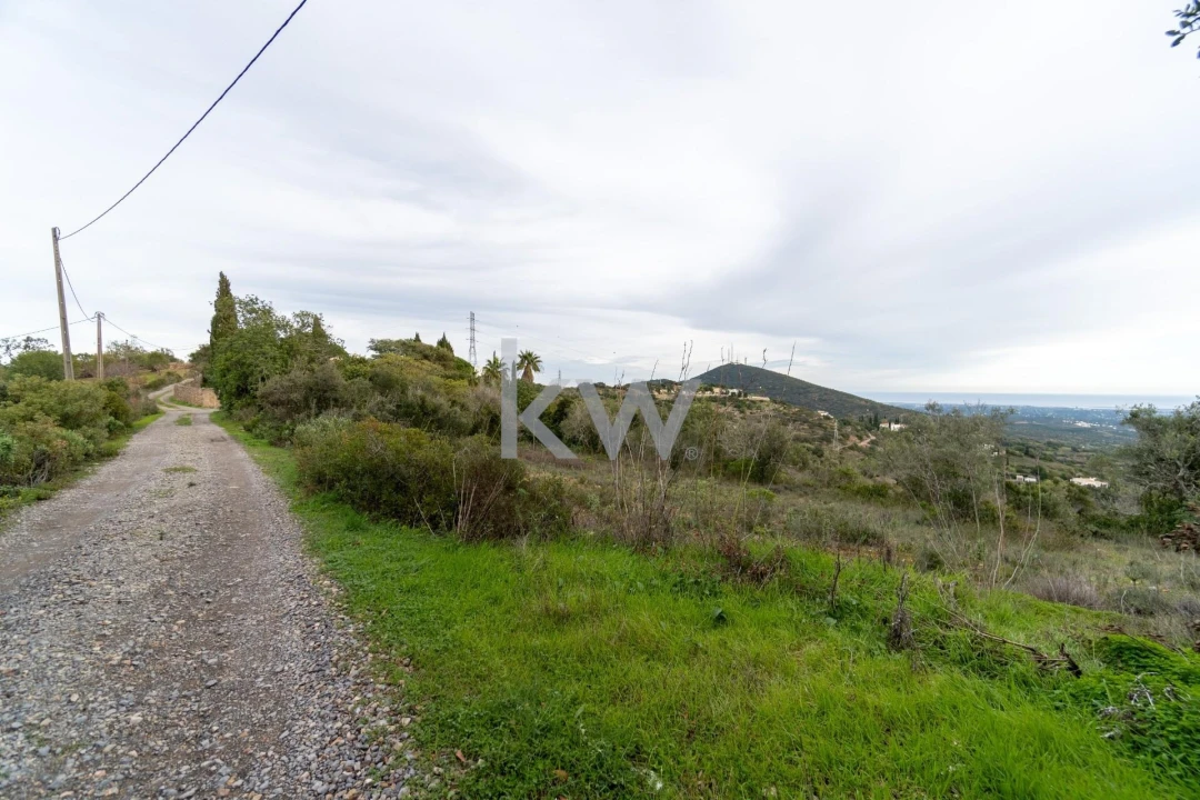 Terreno para Venda em Conceição e Estoi Foto 16