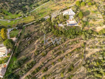 Terreno para Venda em Conceição e Estoi