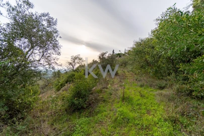 Terreno para Venda em Conceição e Estoi