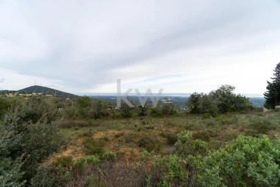 Terreno para Venda em Conceição e Estoi