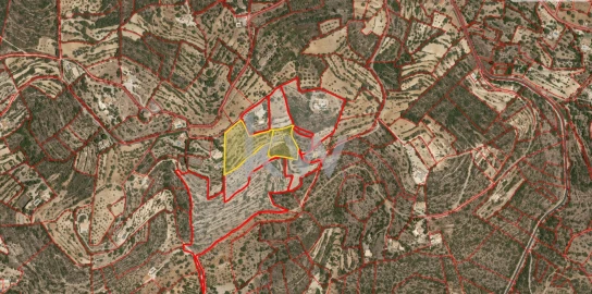 Terreno para Venda em Conceição e Estoi