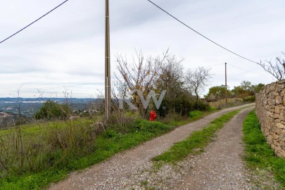 Terreno para Venda em Conceição e Estoi