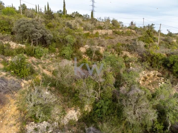 Terreno para Venda em Conceição e Estoi