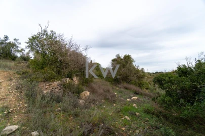 Terreno para Venda em Conceição e Estoi