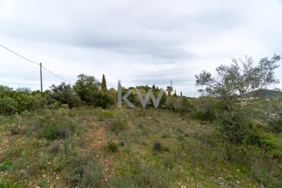 Terreno para Venda em Conceição e Estoi