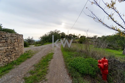 Terreno para Venda em Conceição e Estoi