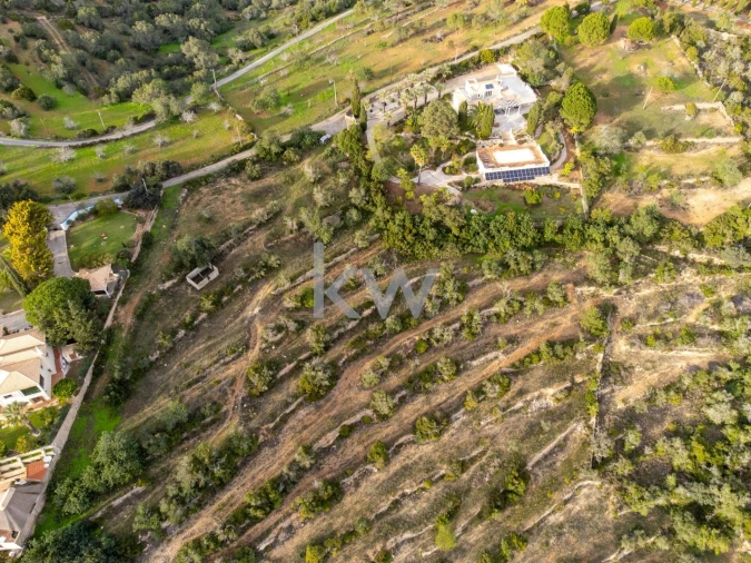Terreno para Venda em Conceição e Estoi Foto 7