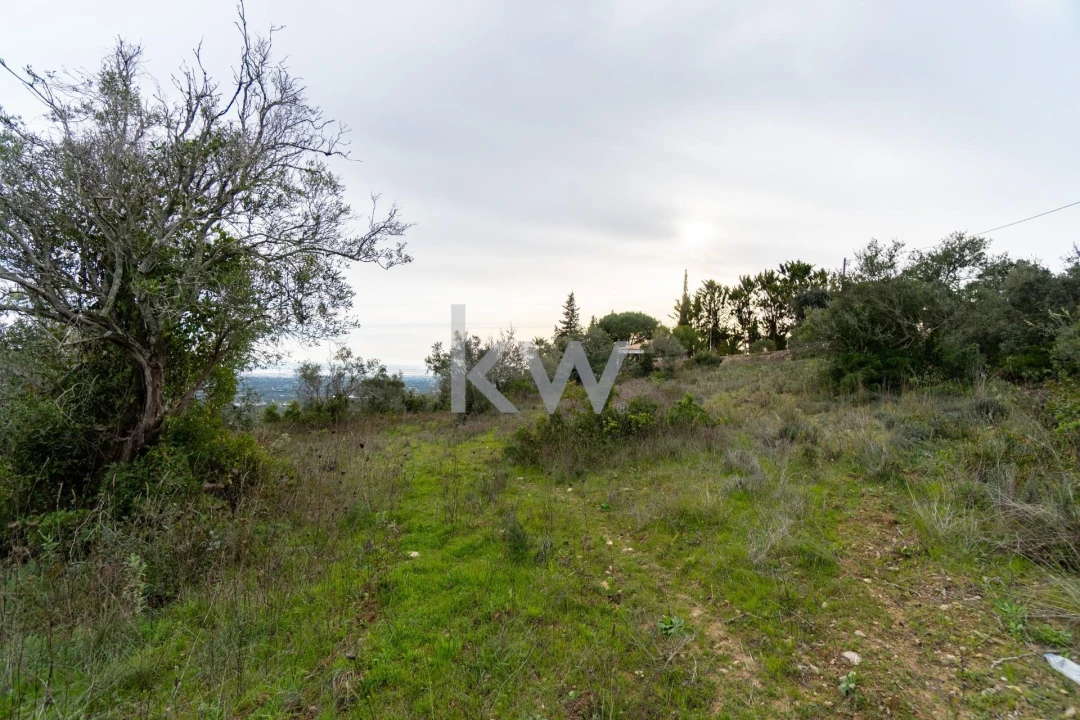 Terreno para Venda em Conceição e Estoi Foto 15