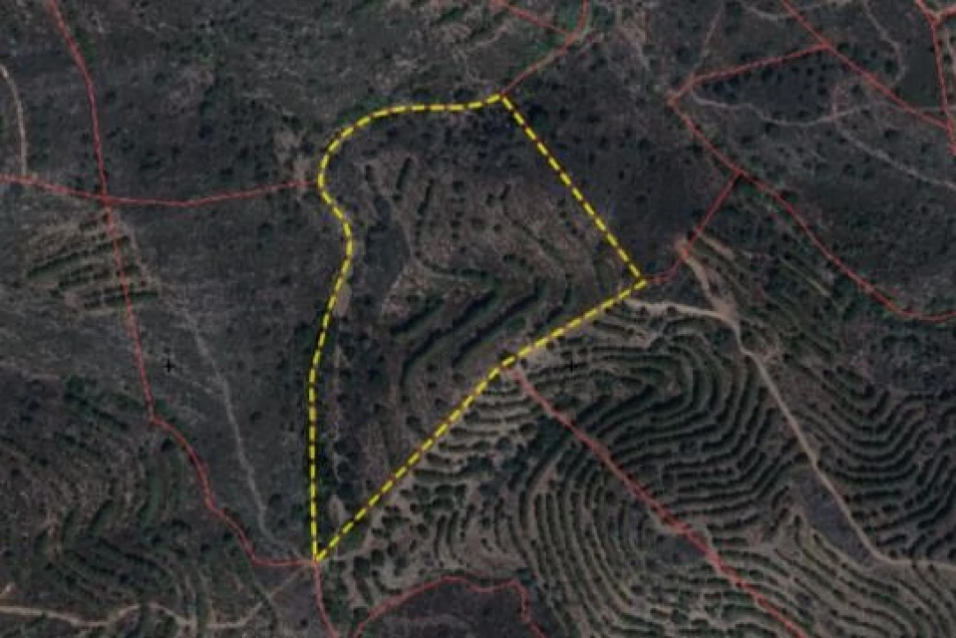 Terreno para Venda em Alcoutim e Pereiro Foto 1