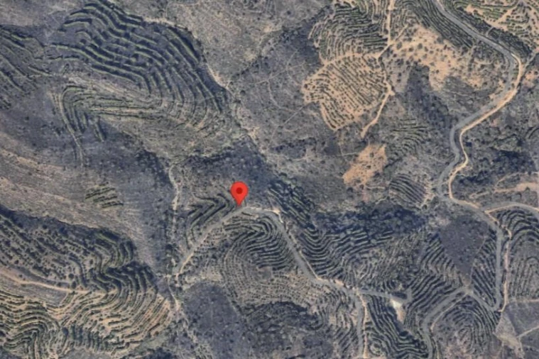 Terreno para Venda em Alcoutim e Pereiro Foto 2