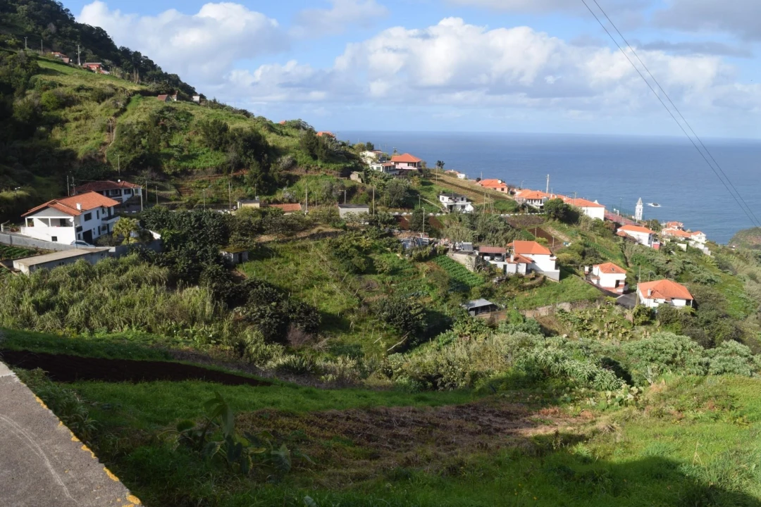 Terreno para Venda em São Roque do Faial Foto 9