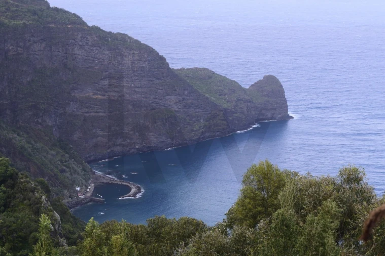 Terreno para Venda em São Roque do Faial Foto 3