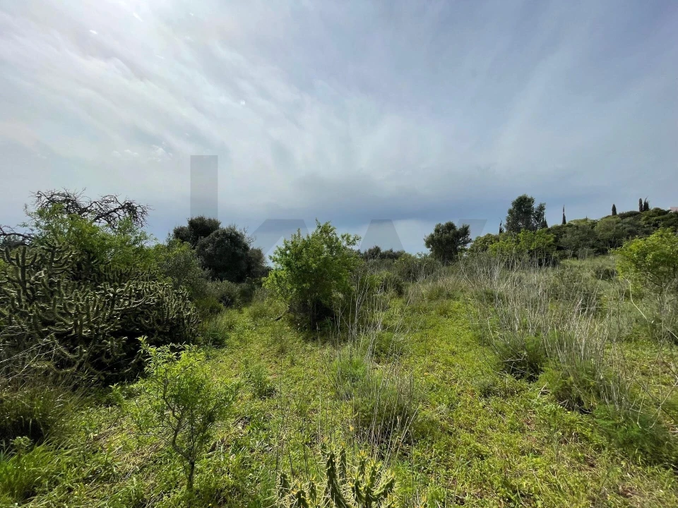 Terreno para Venda em Lagos (São Sebastião e Santa Maria) Foto 13