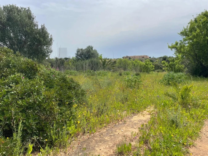 Terreno para Venda em Lagos (São Sebastião e Santa Maria) Foto 11