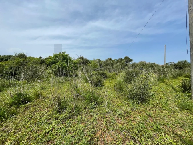 Terreno para Venda em Lagos (São Sebastião e Santa Maria) Foto 15