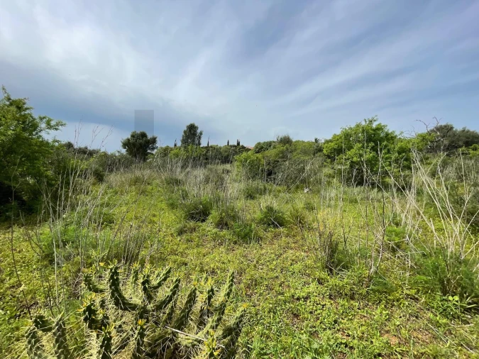 Terreno para Venda em Lagos (São Sebastião e Santa Maria) Foto 14