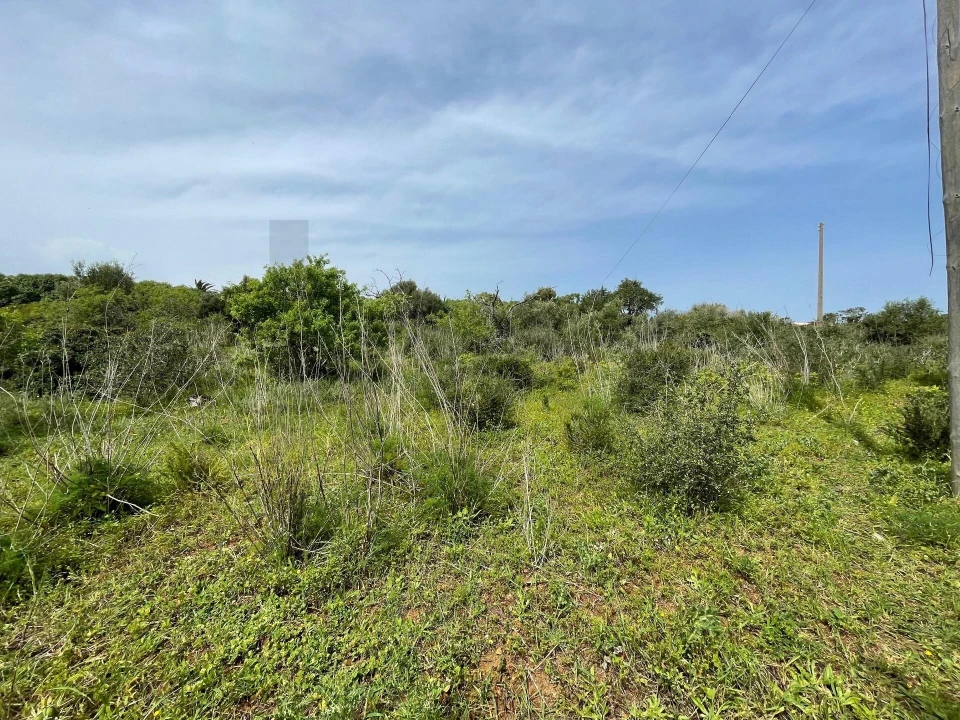 Terreno para Venda em Lagos (São Sebastião e Santa Maria) Foto 15