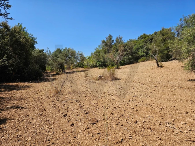 Terreno para Venda em Loule (São Sebastião) Foto 9