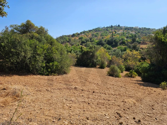 Terreno para Venda em Loule (São Sebastião) Foto 2