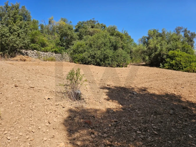 Terreno para Venda em Loule (São Sebastião) Foto 5