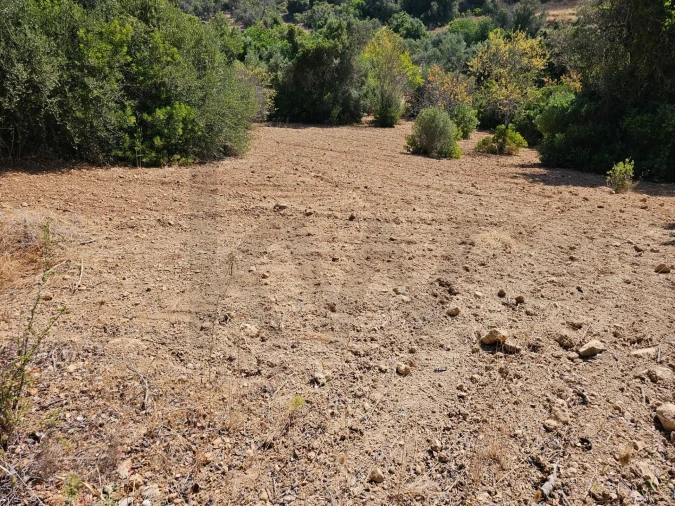 Terreno para Venda em Loule (São Sebastião)