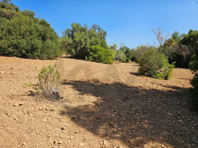 Terreno para Venda em Loule (São Sebastião) Foto 4