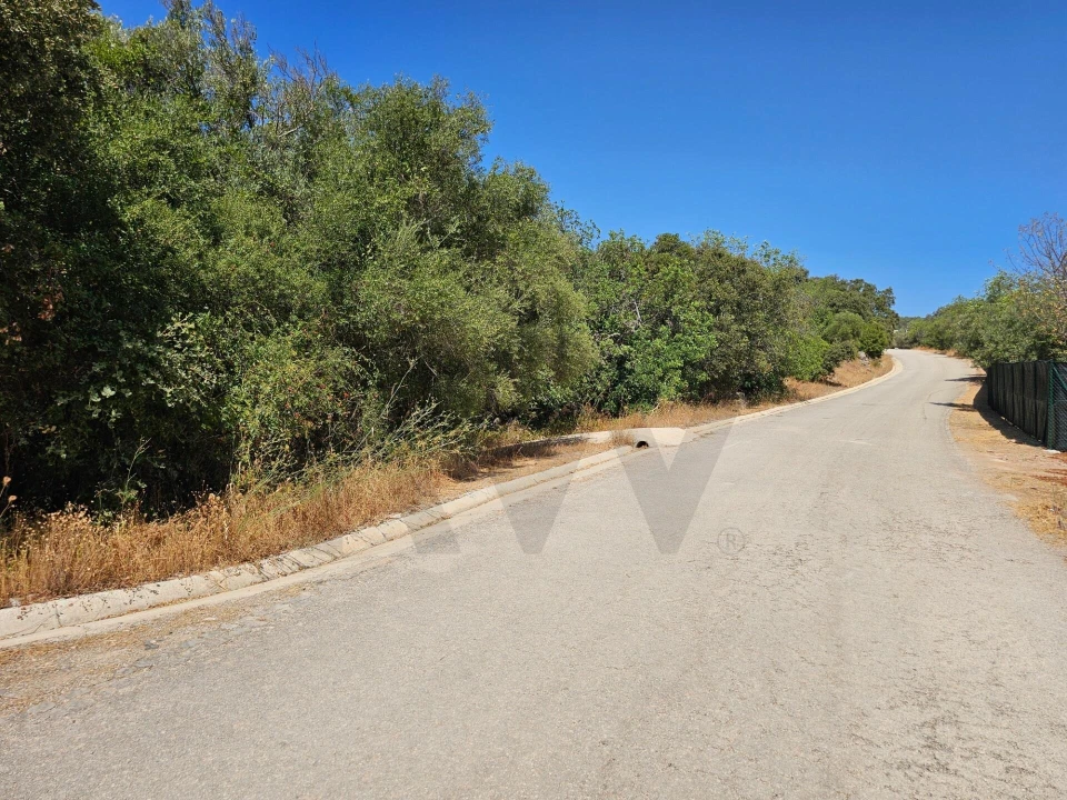 Terreno para Venda em Loule (São Sebastião) Foto 16