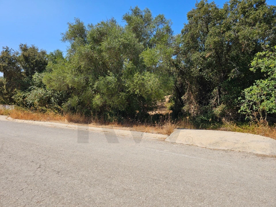 Terreno para Venda em Loule (São Sebastião) Foto 15