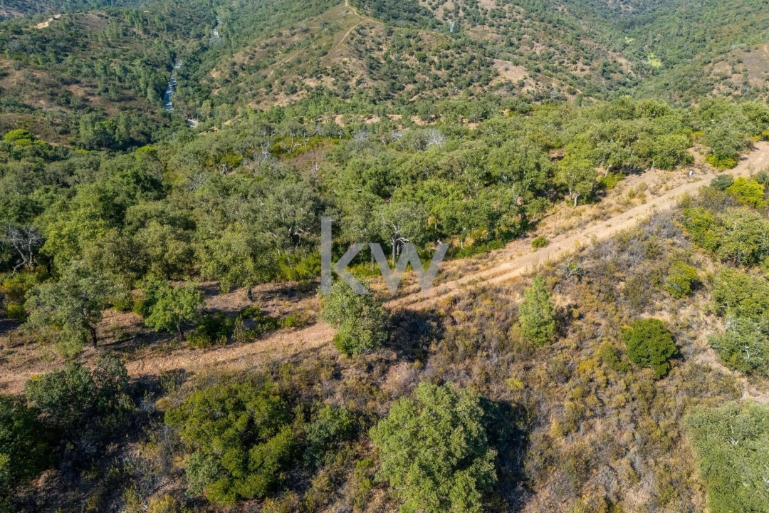 Terreno para Venda em Querença, Tôr e Benafim Foto 27