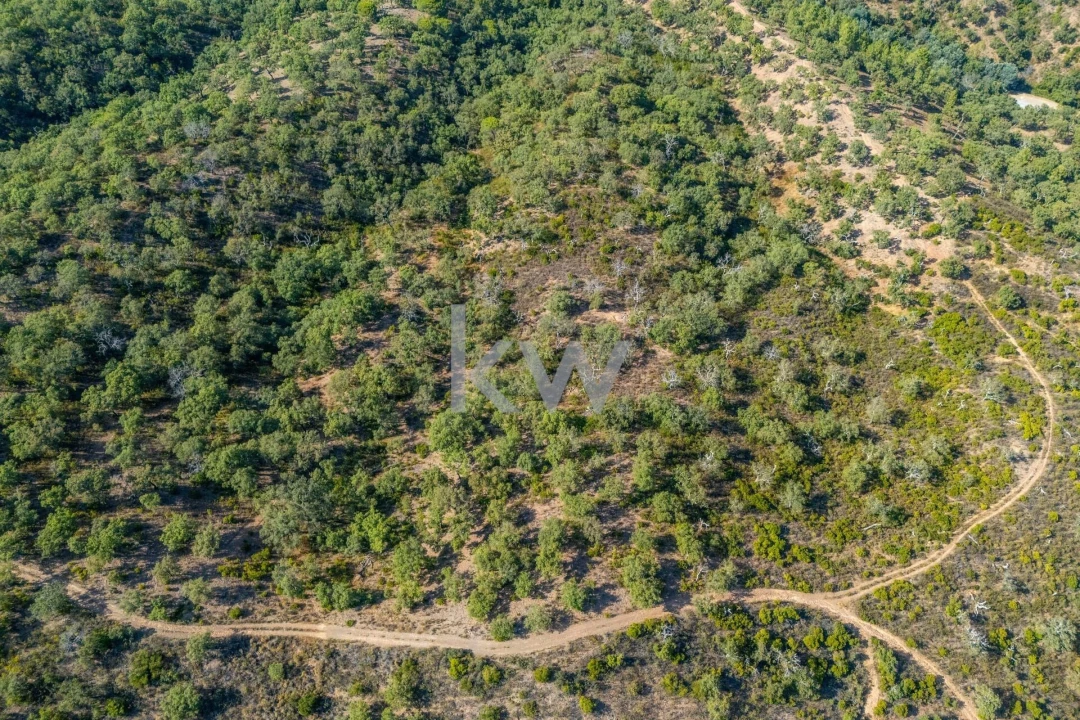 Terreno para Venda em Querença, Tôr e Benafim Foto 15