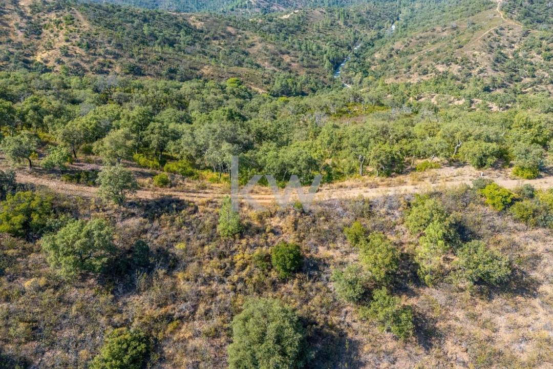 Terreno para Venda em Querença, Tôr e Benafim Foto 28