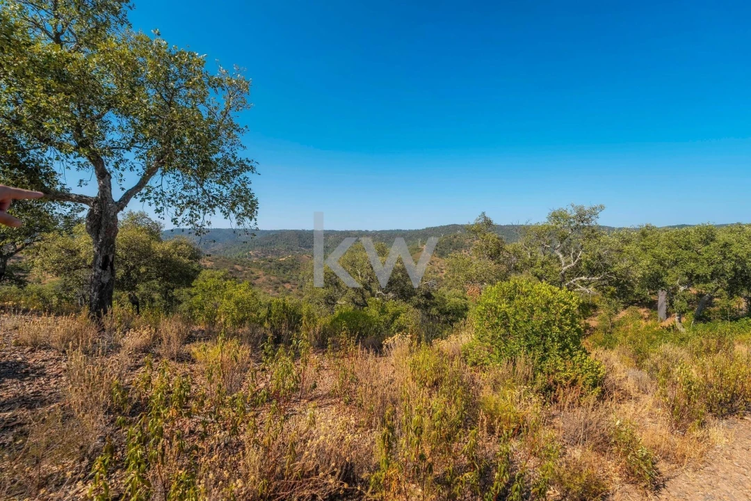 Terreno para Venda em Querença, Tôr e Benafim Foto 3