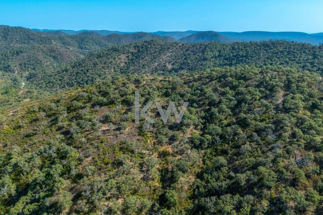Terreno para Venda em Querença, Tôr e Benafim Foto 24