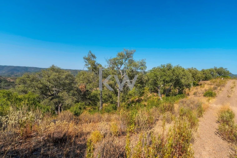 Terreno para Venda em Querença, Tôr e Benafim Foto 3
