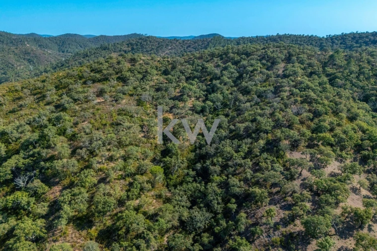 Terreno para Venda em Querença, Tôr e Benafim Foto 26