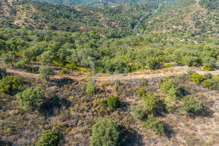 Terreno para Venda em Querença, Tôr e Benafim Foto 28
