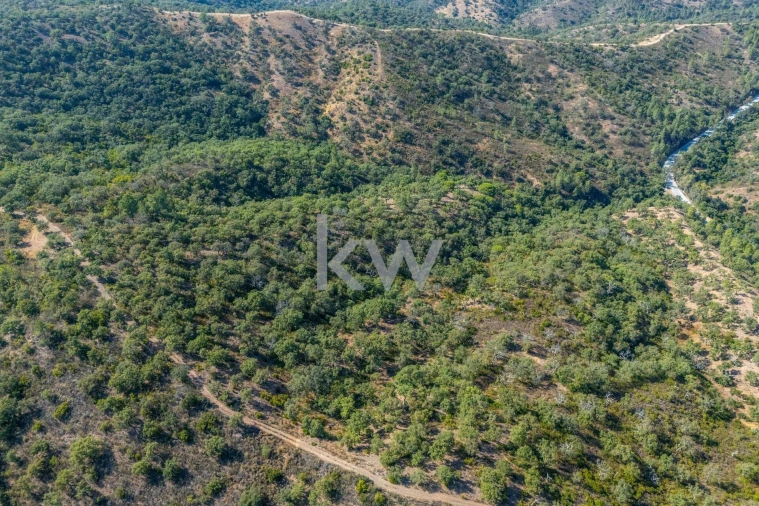 Terreno para Venda em Querença, Tôr e Benafim Foto 17
