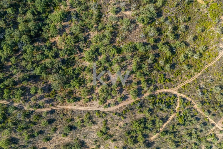 Terreno para Venda em Querença, Tôr e Benafim Foto 12