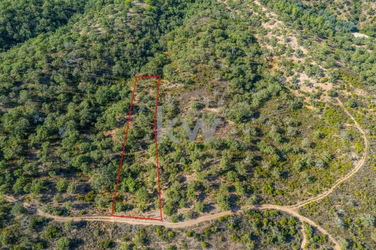 Terreno para Venda em Querença, Tôr e Benafim Foto 15