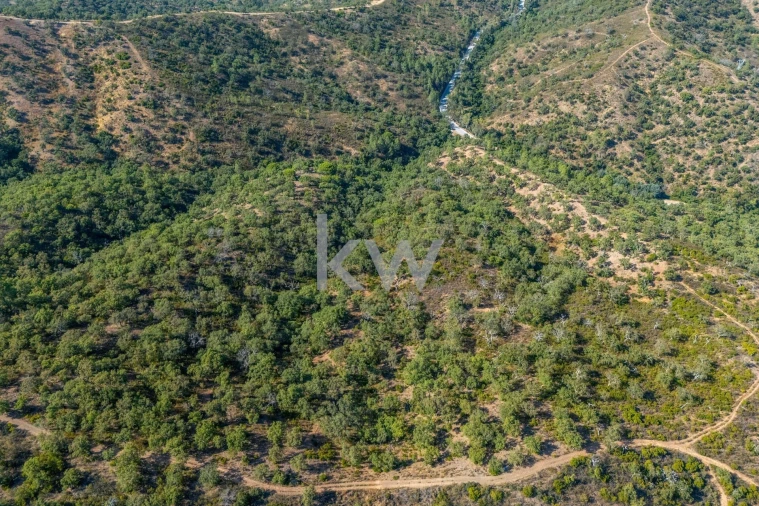 Terreno para Venda em Querença, Tôr e Benafim Foto 21