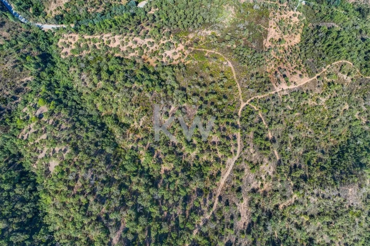 Terreno para Venda em Querença, Tôr e Benafim Foto 18