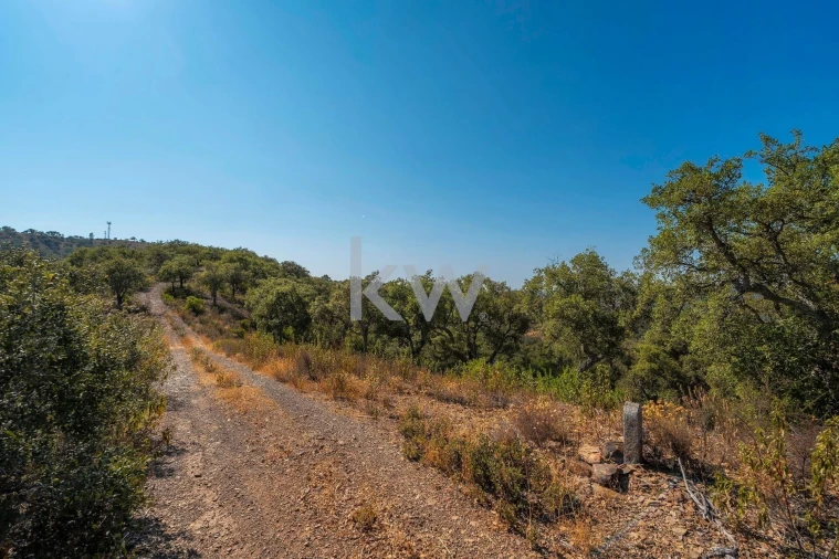 Terreno para Venda em Querença, Tôr e Benafim Foto 11